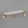 TRIO Leuchten Soka Projecteur, 867700365,