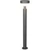 Trio Lighting Borne lumineuse LED Mackenzie, hauteur 95 cm, anthracite...