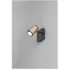 Trio Lighting Spot pour plafond Gillan, café, à 1 lampe, métal, GU10