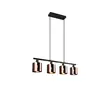 TRIO Leuchten Jason Suspension, R36304064,