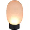 Trio Lighting Lampe à poser rechargeable LED Facette, ambre, USB, verr...