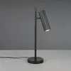 TRIO Leuchten Soka Lampe de table, 567700132,