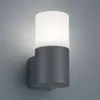 Trio Lighting Applique d'extérieur Hoosic à 1 lampe, anthracite