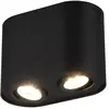 Trio Leuchten Downlight moderne à 2 lumières monté en surface, noir mat