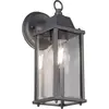 Trio Leuchten Lanterne Murale d'Extérieure Vintage Anthracite IP23