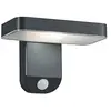 Reality Leuchten Applique solaire à LED - ESQUEL - détecteur de mouvement - H 12 cm