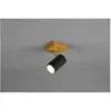 TRIO Leuchten Marley Projecteur, GU10, 812400132,
