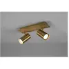 Trio Lighting Spot pour plafond Marley, laiton vieilli, à 2 lampes