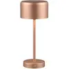 Reality Leuchten Lampe de table sans fil à LED Jeff R59151165, café en...