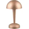 Reality TRIO Canaria Lampe de table, R59561165,