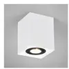 TRIO Leuchten Biscuit Projecteur, GU10, 613000134