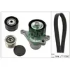 Jeu De Courroies Trapézoïdales Poly Ina 529042320 Renault; Nissan