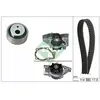 INA Pompe à eau + kit de courroie de distribution 530025831