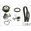 INA 530 0959 30 Pompe à Eau + Kit De Distribution avec pompe à eau