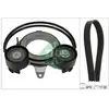 Jeu De Courroies Poly Trapézoïdales Audi Ina 529057110