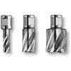 FEIN 63134240301 HSS SPECIAL 25 Carotteuse HSS avec douille Weldon 3/4