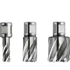 Fein Fein Fraise HSS SPECIAL avec porte-outil Weldon 3/4 in, 26 mm - 63134260301