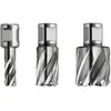 Fein Fein Fraise HSS SPECIAL avec porte-outil Weldon 3/4 in, 17 mm - 63134170301