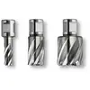 Fein Fein Fraise HSS SPECIAL avec porte-outil Weldon 3/4 in, 32 mm - 63134320301