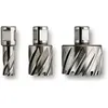 Fein Fraise Hss Nova 50 Emmanchement 3/4 In Weldon