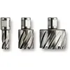 Fein Fraise Hss Nova 25 Emmanchement 3/4 In Weldon