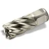 Fein Fein Fraise HSS Nova 25 emmanchement Weldon Ø 26 x 25 - 63134260051