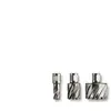 Fein Fein Fraise HSS Nova 25 emmanchement Weldon Ø 21 x 25 - 63134210051