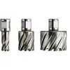 Fein Fraise Hss Nova 25 Emmanchement 3/4 In Weldon