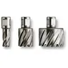 Fein Fraise Hss Nova 25 Emmanchement 3/4 In Weldon