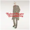 Strawberries Robert Forster (Interprète) Vinyle album