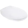 Ideal Standard k705301 8075714 eurovit siège de wc charnière en acier inoxydable