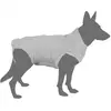 MORIN IMPORT Body protection