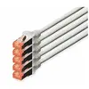 Digitus Cable de Red S-FTP Cat. 6 LSZH 20m Gris 5 Unidades