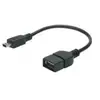 DIGITUS Câble adaptateur USB 2.0, mini USB-B - USB-A, 0,2 m ()