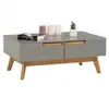 Idimex - Table basse tibor, 2 tiroirs et 2 niches, lasuré gris