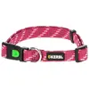 Kerbl Collier Colorado fuchsia, 35-55cm, 20mm