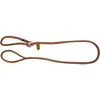 KERBL Roma Laisse avec Collier Intégré pour Chien Cognac 170 cm 8 mm