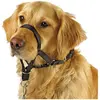 Collier d'éducation pour chien Kerbl Maxi Coach Noir 44 cm 83316