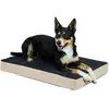 KERBL Matelas à Mémoire de Forme pour Chiens 100 X 60 X 8 cm, Noir