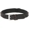 Kerbl Pet Collier pour Chien Vegas Noir, 46-52cm, 35mm