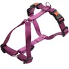Kerbl Miami Harnais pour Chien Pourpre 55-76 cm