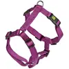 Kerbl Miami Harnais pour Chien Bleu 55-76 cm