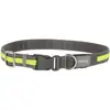 Kerbl Collier lumineux Light&Reflex gris/jaune fluo, 35-50cm, 20mm