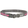 Kerbl Collier lumineux Light&Reflex gris/rose fluo, 45-65cm, 24mm