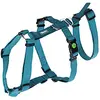 Kerbl Pet Harnais antipanique Miami Petrol, 48-70cm, 20mm
