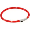 Kerbl Maxi Safe Collier Lumineux pour Chien Rouge 55 cm