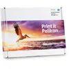 Pelikan Cartouches D´encre Compatibles Canon Pgi-550/cli-551xl