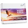 Pelikan Cartouches D´encre Compatibles Brother Lc223valpk