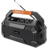 TechniSat Technisat DigitRadio 231 OD black (0000/3966)