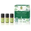 Primavera Puissance parfumée de la forêt Coffret parfum 1000 ml